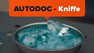 Wie ein schnelles Enteisen der AutoFenster funktioniert  Tipps von AUTODOC [upl. by Hermione]