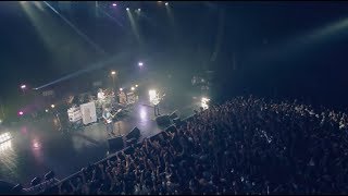 UNISON SQUARE GARDEN「シュガーソングとビターステップ」LIVE MUSIC VIDEO [upl. by Derfniw]