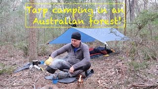 Tarp camping in an Australian forest [upl. by Hairem]