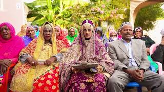 harari wedding M amp S highlights p1  Ethiopian Harari Wedding 232024 [upl. by Bradeord]