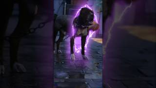 Cute Pett bull attitude shorts viralvideo theriagent [upl. by Inobe]