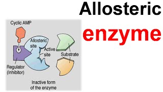 Allosteric enzyme [upl. by Ahcsrop]