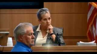 Jodi Arias Trial  Day 37  Domestic Violence Expert  Part 3 Of 3 No Sidebars [upl. by Adeuga827]