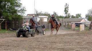 team roping dummy homemade 2 [upl. by Worsham]