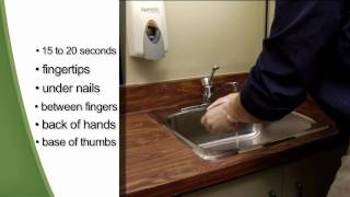 Hand Hygiene Handwashing and AlcoholBased Hand Sanitizers [upl. by Porush]