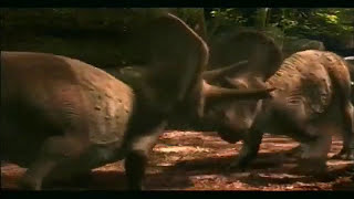 When dinosaurs roamed America video promo [upl. by Shermie513]