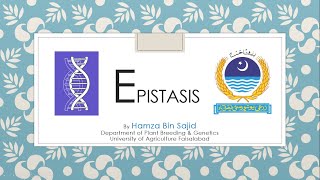 Epistasis Types Examples Recessive Epistasis Dominant Epi Duplicate Dominant amp Duplicate Recessive [upl. by Filmore6]