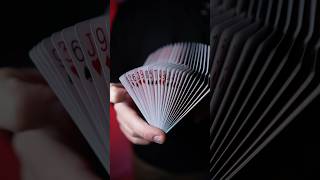 Monarch Playing Cards ASMR shorts asmr satisfyingsounds foryou cardshuffle [upl. by Lorie]