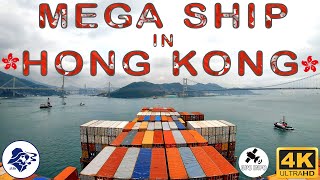 MEGA SHIP PASSING HONG KONG 香港  TSING MA BRIDGE  TIME LAPSE 4K  THE SEAWOLF [upl. by Hermine]