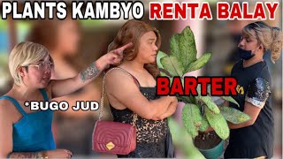 Chismosang Silingan Season 2 Episode 21  TANOM i BARTER sa RENTA SA BALAY [upl. by Fosque]