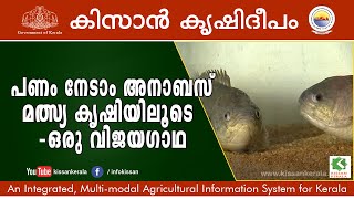 Success story of inland aqua farming using Anabas Climbing Perch breed by Mr Sonal Narona [upl. by Kos]