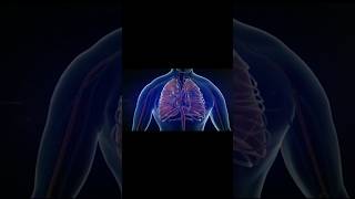 Pulmonary Embolism lungsdisease lungsproblem [upl. by Ko]