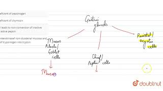 What will happen if secretion of parietal cells of gastn\c glands are blocked [upl. by Rosati]