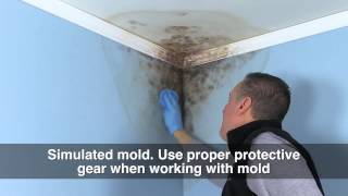 How To Apply Zinsser Mold Killer [upl. by Riti]