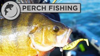 How To Set Up a Lure for Perch Fishing [upl. by Molloy321]