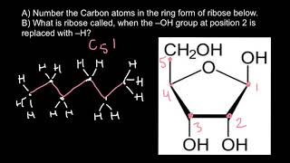 How to number carbon atoms [upl. by Sobmalarah791]