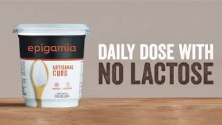 Epigamia Artisanal Curd [upl. by Dickie]