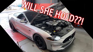 Wylee Hits the Dyno  Built Motor 18 Mustang Goes for BIG POWER [upl. by Atte]