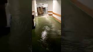 AVISO ROJO en MÁLAGA por una DANA que deja INUNDACIONES y RIADAS [upl. by Flemming699]