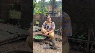 Mini Vlog 105 kokan cowdung diwali happiness festival kokani swanandisardesai ऐकाना [upl. by Madra803]