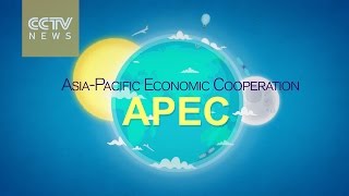 What is APEC [upl. by Neelik]