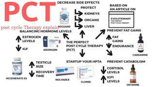 Post Cycle Therapy PCT Explained in Hindi  Best Way To Do PCT For STEROIDS And SARMS All ABOUT PCT [upl. by Terces]