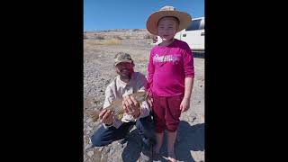 Brown Trout at Lahontan Reservoir By VerdugoAdventures [upl. by Cai]