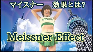 Meissner Effect マイスナー効果とは [upl. by Lledualc]