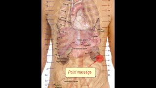 Géobiologie et coévolution  Lever des blocages ancestraux VERSION OBSOLÈTE [upl. by Aicyle20]