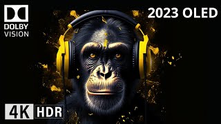 Oled Demo 2023 Dolby THX DLP Intros DOLBY ATMOS SOUND DESIGN 4K HDR 60FPS Dolby Vision [upl. by Salohcin769]