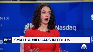 Midcap stocks are a better hedge in the near term than small caps says BofAs Jill Carey Hall [upl. by Damalus]