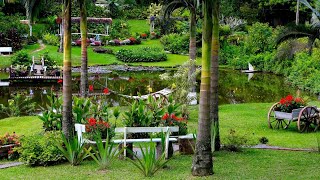 Conheça o vencedor do Concurso de Jardins de Joinville em 2024 [upl. by Gael]