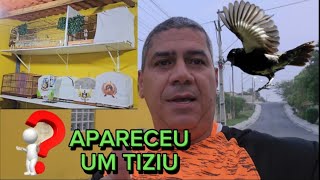 SERÁ POSSÍVEL COM ESSA ROTINA OS CASAIS PROCRIAREM [upl. by Ezana418]