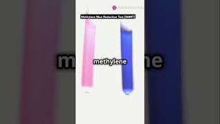 Methylene Blue Reduction Test MBRT msc bsc microbiology practical [upl. by Mame]