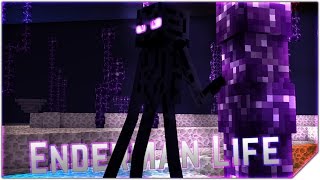 ENDERMAN LIFE  A Minecraft Animation Part 1 [upl. by Aihselat245]