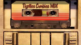 Tigrillos  Cumbias MIX [upl. by Maggio]