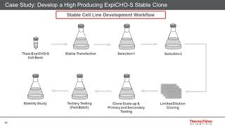 Accelerating BioProduction Using ExpiCHO Stable Production Medium [upl. by Rosenblatt]