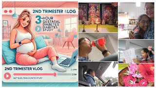 🤰2nd Trimester Journey Last Vlog from Our 🏡  3Hour Gestational Diabetes Study 💻 During Pregnancy [upl. by Gio221]