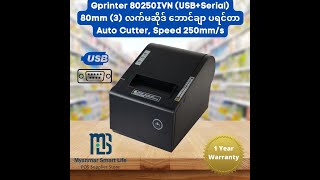 How to install Gprinter 80250 Receipt Printer in Windows 11 [upl. by Anniken399]