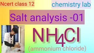 Ncert class 12chemistry practicalsalt analysis 01NH4ClAmmonium chloride [upl. by Killion]