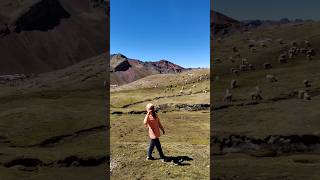 🌈 Vinicunca Rainbow Mountain 🇵🇪 [upl. by Dao]