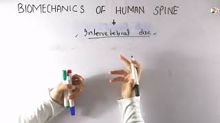 Structure of intervertebral disc  biomechanics of human spine  Part1 [upl. by Radmilla]