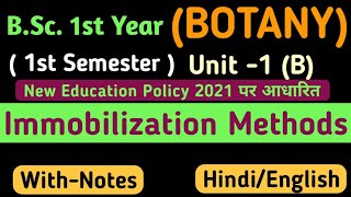 Immobilization MethodsBSc 1st Year 1st Semester Botany Unit 1Immobilization methods in Hindi [upl. by Brigida875]