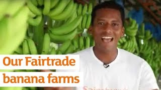 Sainsburys Fairtrade banana farms in Columbia [upl. by Wailoo]