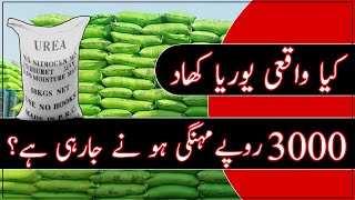 urea fertilizer applicationurea price in pakistanurea price today [upl. by Cordy]