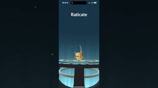 Pokemon GO  Rattata evolve Raticate iPhone 15 Pro Max Pokémon GO mmtopokemongo [upl. by Novyad]