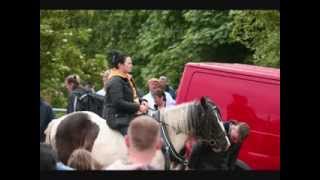 Appleby Fair 2012 video 1 of 3 [upl. by Teteak679]