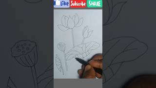 Outline lotus 🪷👌 drawing easy step by step tutorial pencil Art pencilart pencildraw pencilsketch [upl. by Airemat]