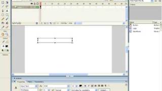 Flash Tutorial Input Text Fields Adobe Training Lesson 54 [upl. by Atenek]