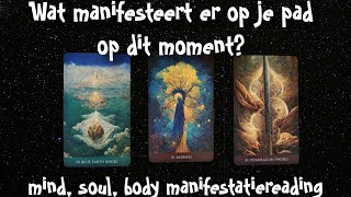 Wat manifesteert er op je pad op dit moment En hoe komt dit in je fysieke wereld🌠⚡ [upl. by Gillman]